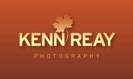 Branding design by Stripey Media for Kenn Reay Photography