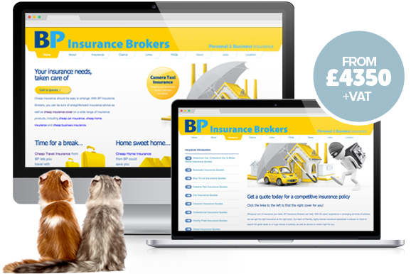 Website package Platinum from Stripey Media - example, BP Insurance Brokers